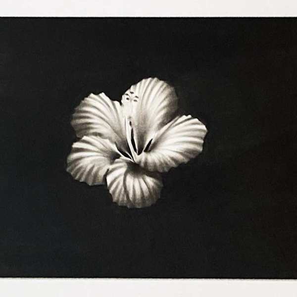 Bloom by Antonio 'C3' Cruz, Image 1.