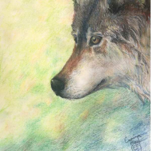 Captivated Gaze by Cameryn Higgs, Image 1.