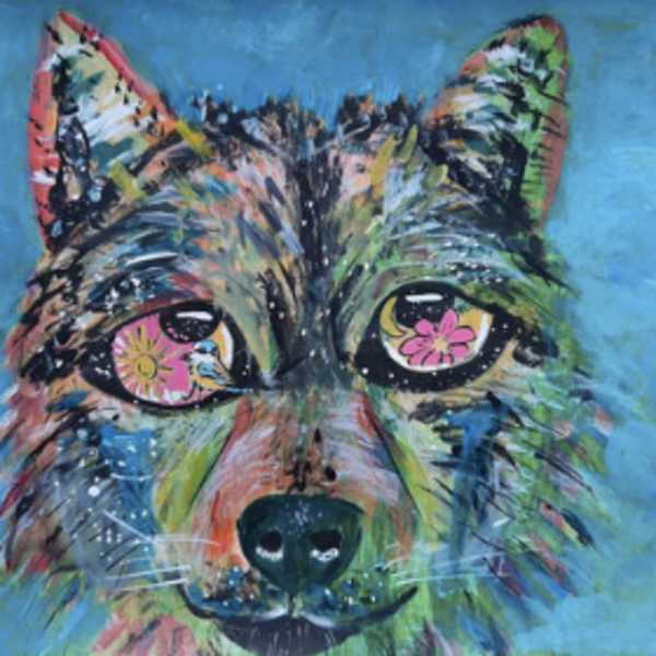 Takaya, l'incroyable loup by Lydie Mariller, Image 1.
