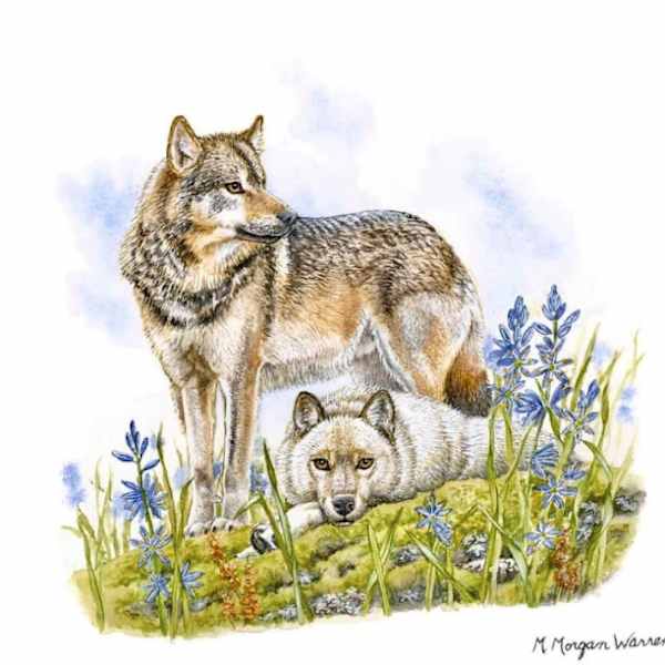 The Silver at Rainbow's End by Morgan Warren, Image 1.