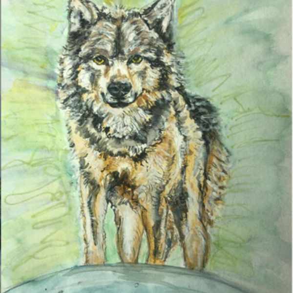 Shine On Noble Chief Takaya by Rachael Green, Image 1.