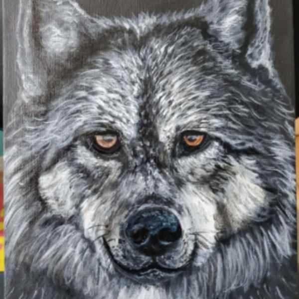 Takaya Portrait by Shawn Loewen, Image 1.