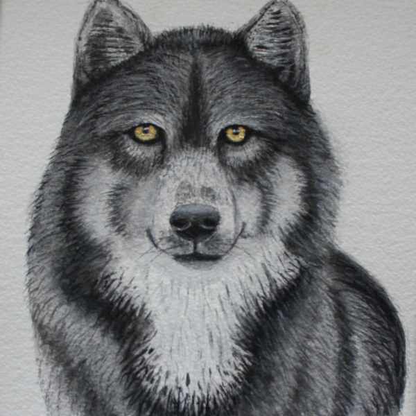 Solo Spirit by Ann Cochrane, Image 1.
