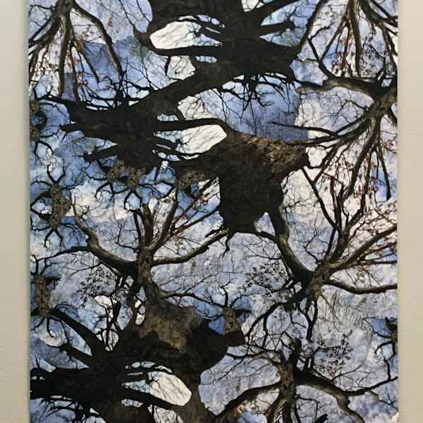 Nowhere Dream (tree spin) by Jeremy Wineberg, Image 2.