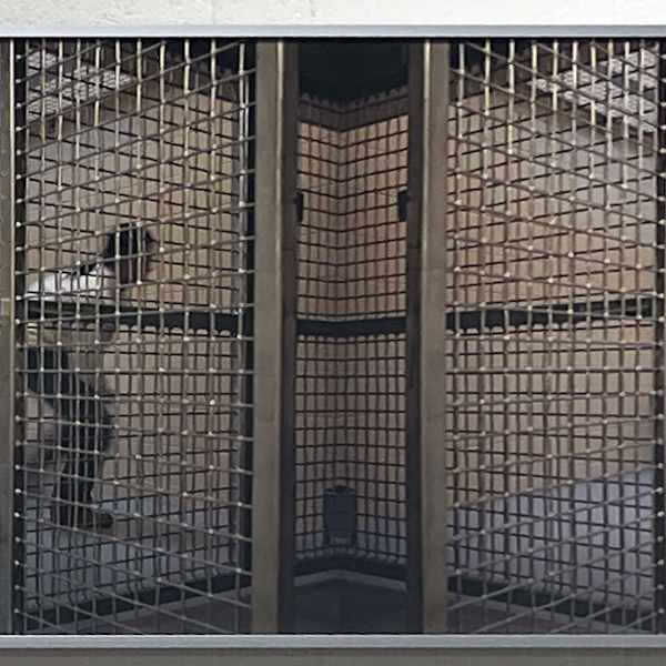 Cage by ChunLok Mah, Image 1.