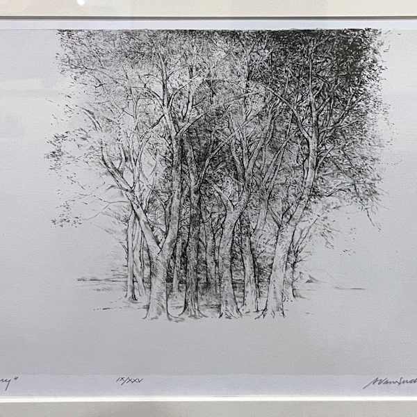 Sanctuary by Adrian Van Suchtelen, Image 2.