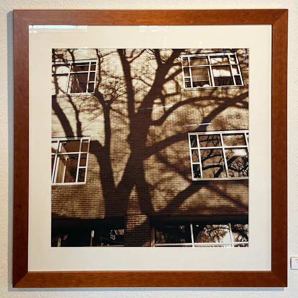 Tree Shadows on Todd Wehr by David Graham, Image 1.
