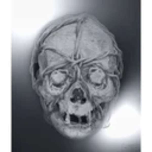 Untitled by Craig McDean, Image 1.