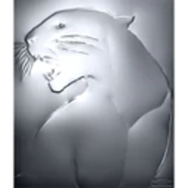 Untitled by Solve Sundsbo, Image 1.