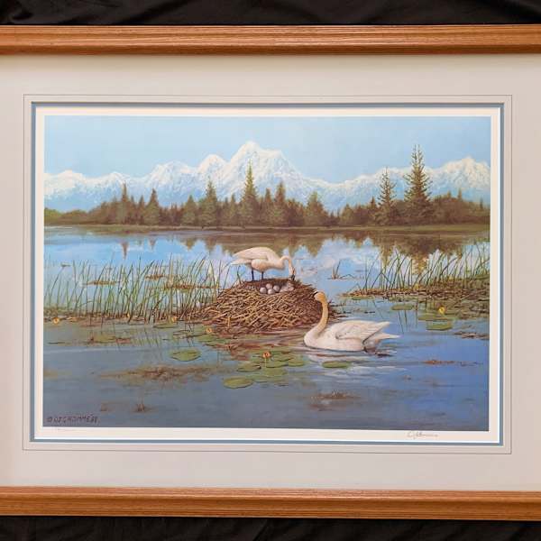 Trumpeter Swans - A New Beginning by Owen J. Gromme, Image 1.