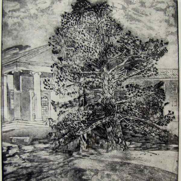 Knowledge by James A. Wilkes, Dr., Image 1.