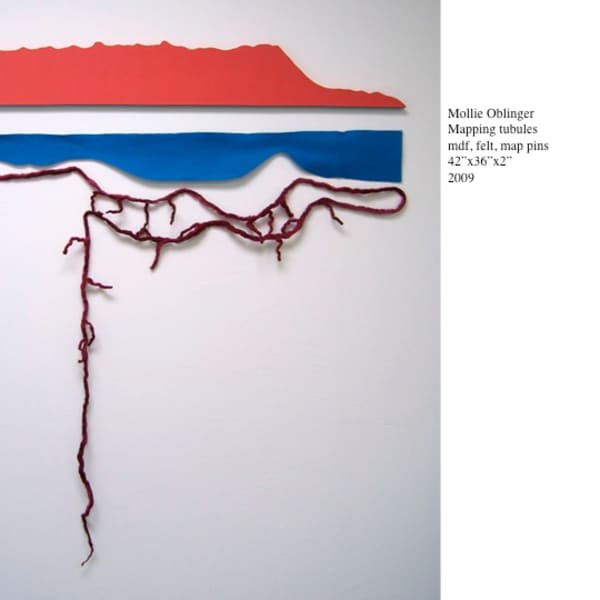 Mapping Tubules (mapping tubules?) by Mollie Oblinger, Image 1.