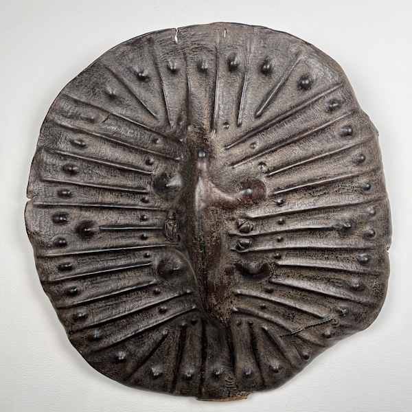 Oromo Shield by Oromo culture, Image 1.