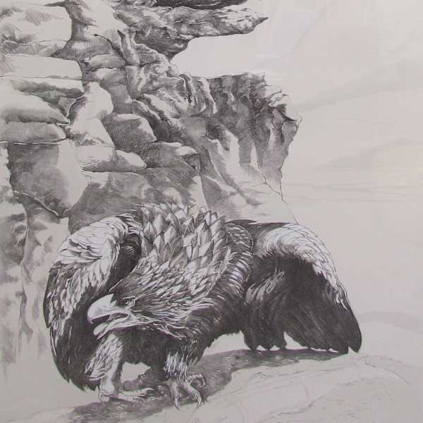 Eagle Beak by Ellen Lanyon, Image 1.