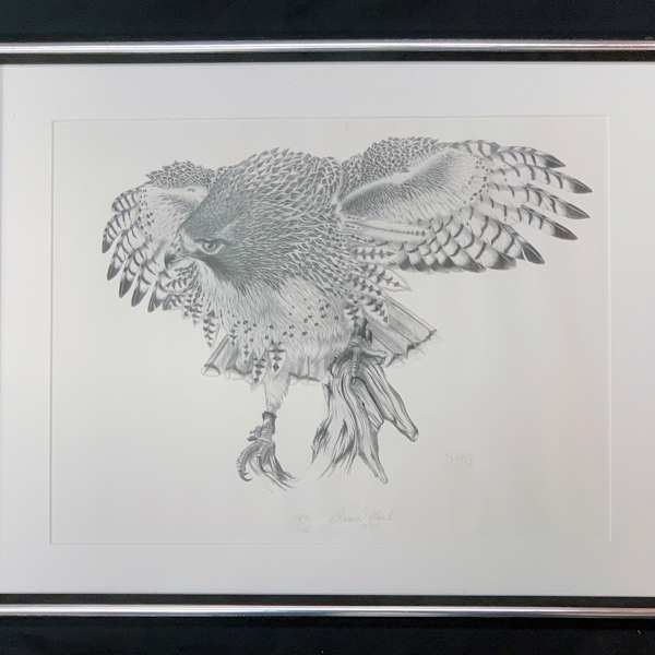 Falcon by Dan DeKock, Image 1.