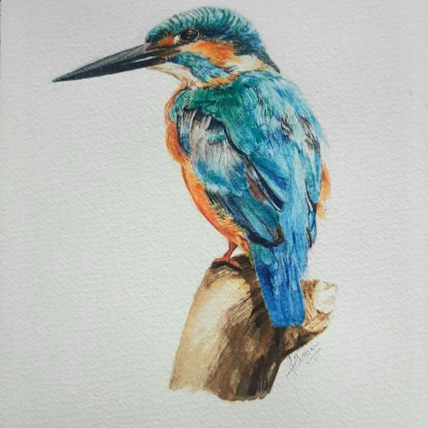 Kingfisher by Fatema Currim, Image 1.