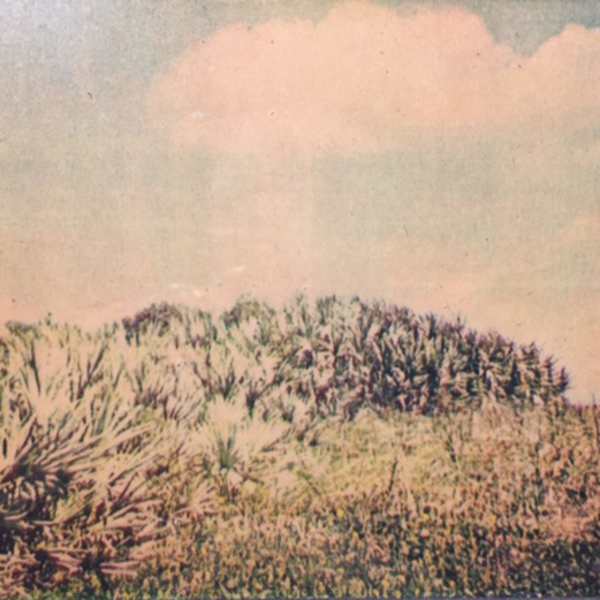 (2) Beach Scenes by Richard Morrison by Richard Morrison, Image 1.