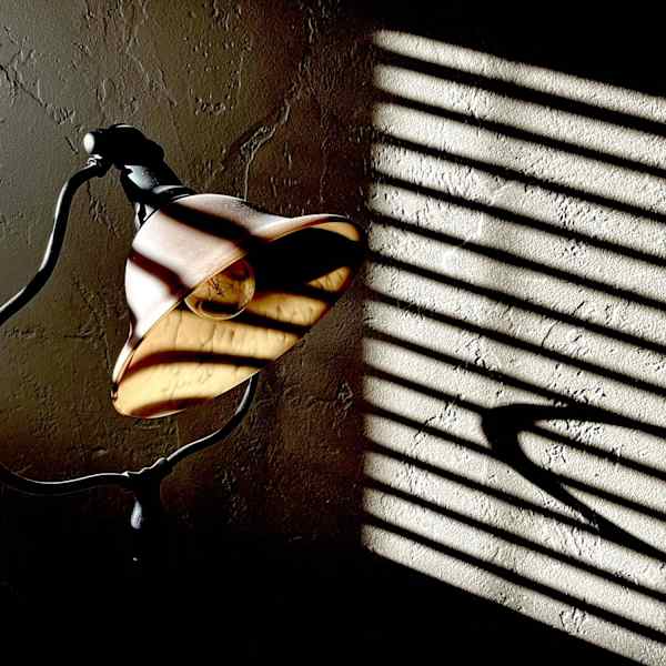 Morning Becomes Light by Karen Safer, Image 1.