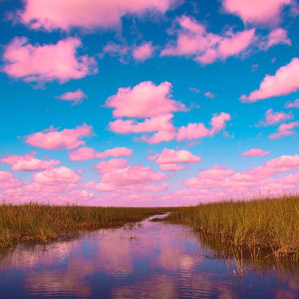 Blushing Horizons by Diane Lamboley, Image 1.