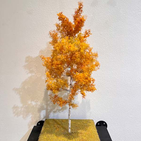 27" Aspen Tree by Gary Polonsky, Image 1.