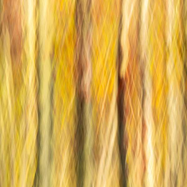 Into the picket by Joe Doherty, Image 1.