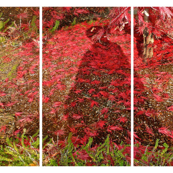 Red Tara (Sandra Mueller) by Southern California Women's Caucus for Art SCWCA, Image 1.