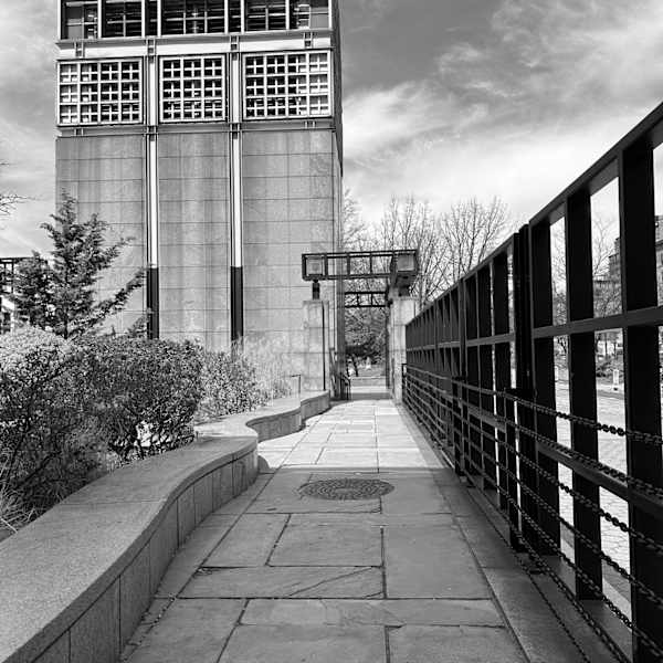 New York City by Miriam Schulman, Image 1.