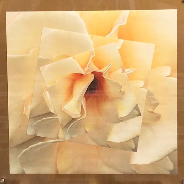 Three Yellow Roses by Rhonda Burton, Image 1.