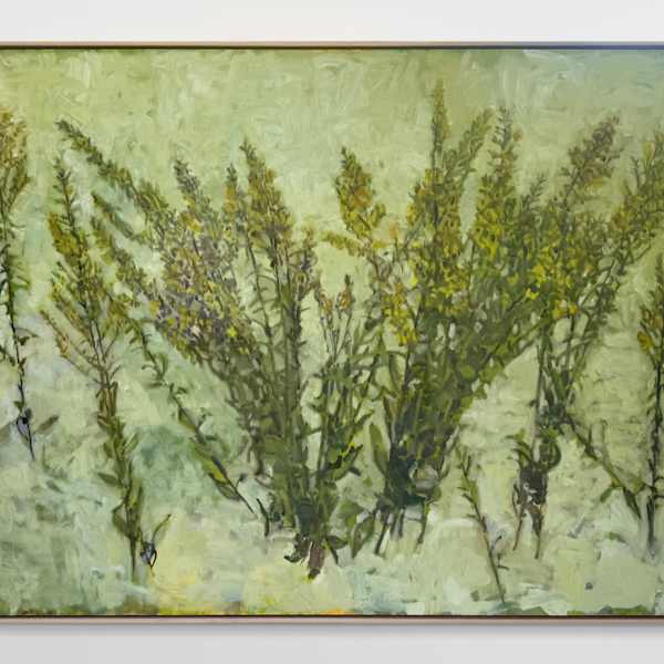 Scattered Goldenrod by Annie Harris Massie, Image 3.