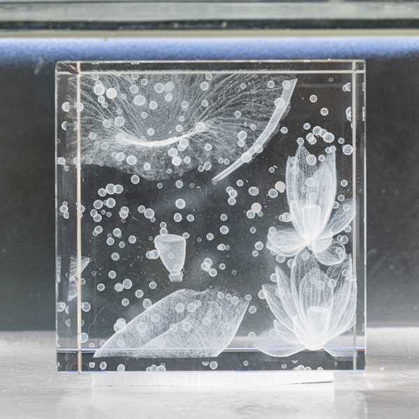 NINFEO Block II by Wolfgang Buttress, Image 1.