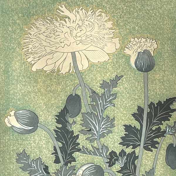 Poppies by Benji Asada, Image 1.