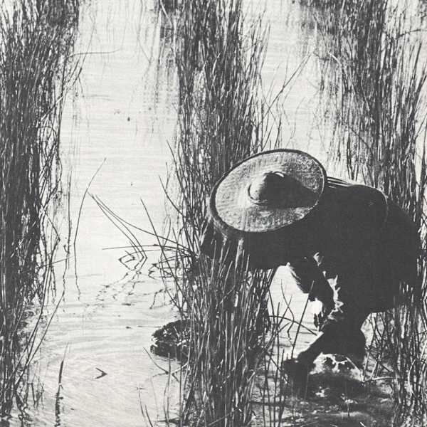 Harvest 1959 by Ching Eddie, Image 3.