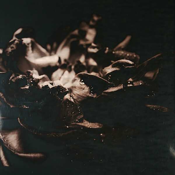 Peony by Caroline Chiu, Image 1.