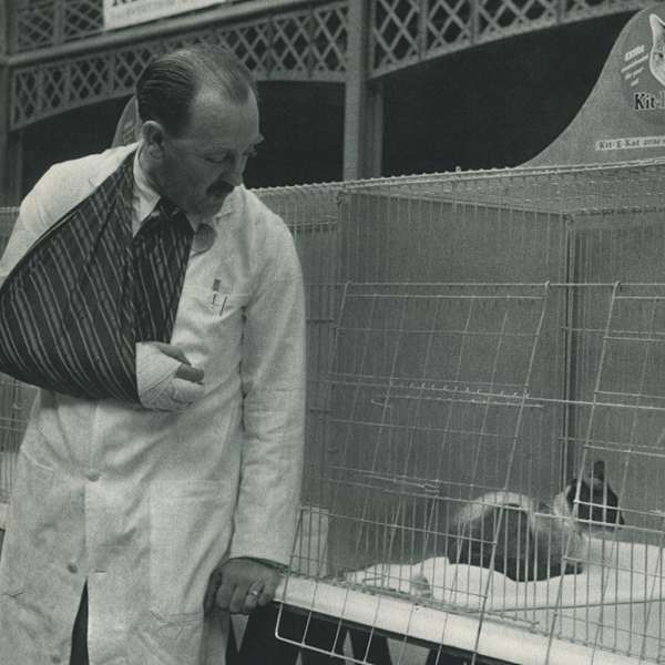 We've Met Before, 1954 by Robert Doisneau, Image 3.