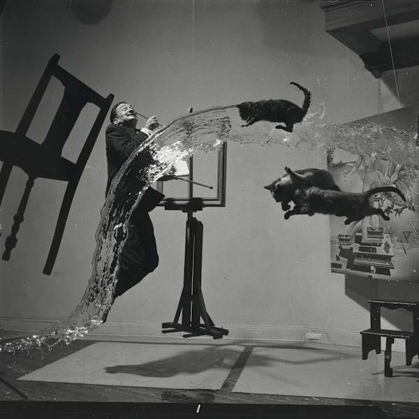 Dali Atomicus by Philippe Halsman, Image 1.
