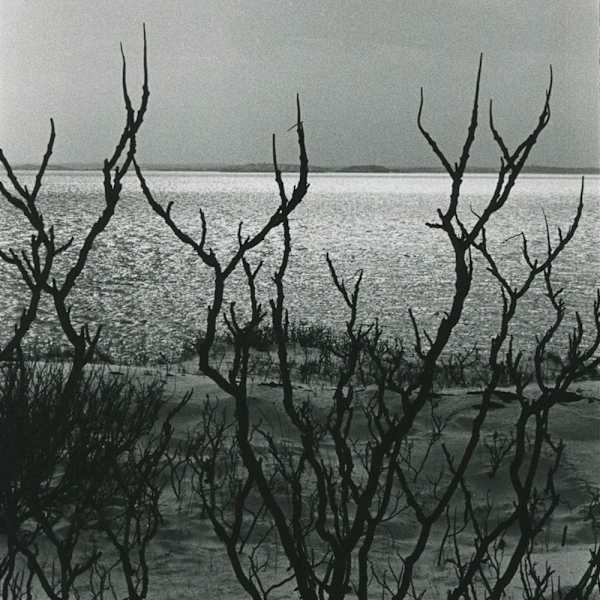 Nahant Beach, Boston by Lisa Vivona, Image 5.