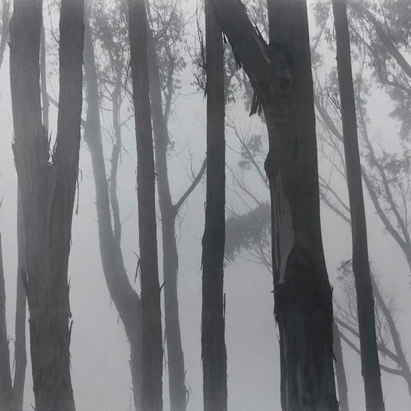 Cambria Pines by Robert Werling, Image 4.