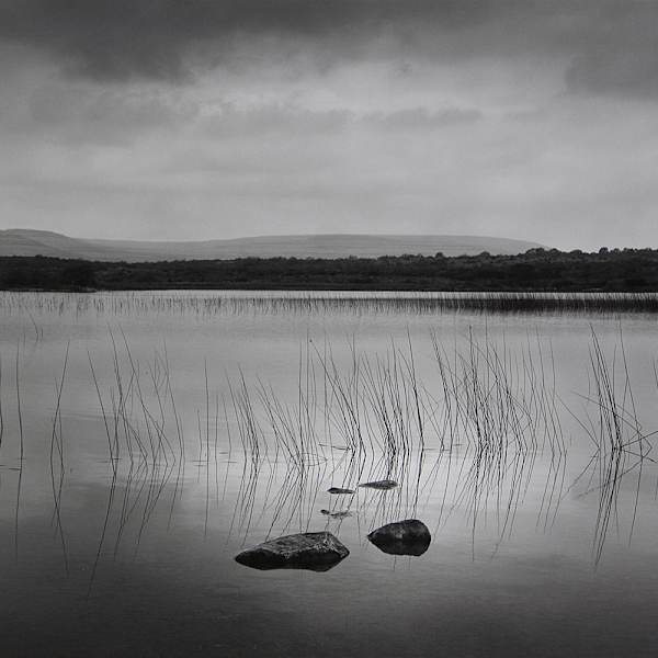 Lough Bunny by John Wimberley, Image 3.