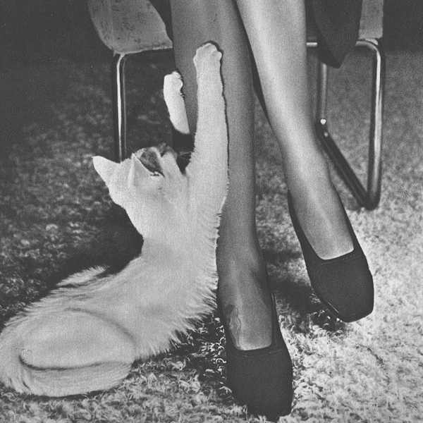 Cat Scratcher 1946 by Michael Wolgensinger, Image 1.