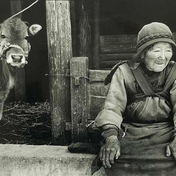Calf by Wu Jialin, Image 2.