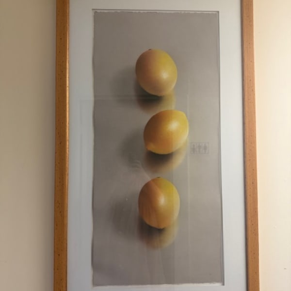 Three Lemons by Robert Peterson, Image 1.