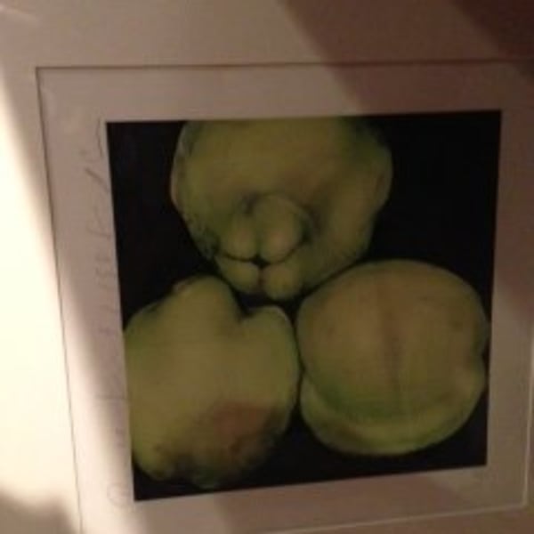 Quince by Donald Sulton, Image 1.