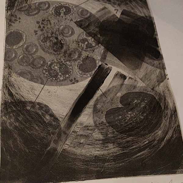 Matter (1/4) by Alaina Troha, Image 1.