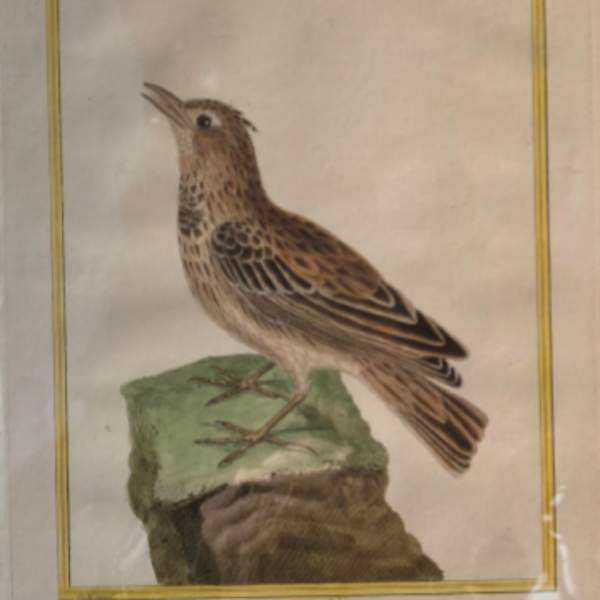 La Coquillade by Francois-Nicolas Martinet, Image 1.