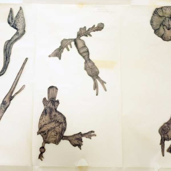 Untitled by Barbara Strasen, Image 1.