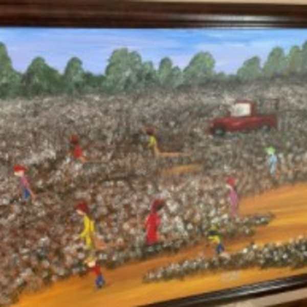 Cotton Picken' by Toby, Image 1.