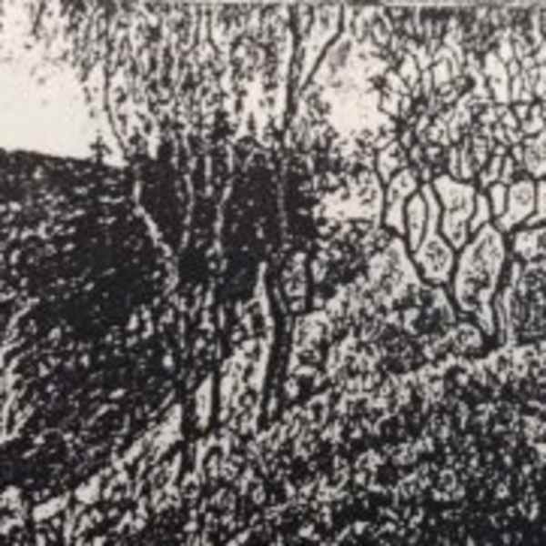 Summer Landscape by Oskar Hauenstein, Image 1.