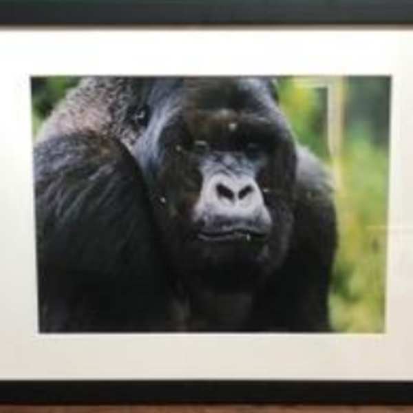 Alpha Male by Lee Auchincloss, Image 1.