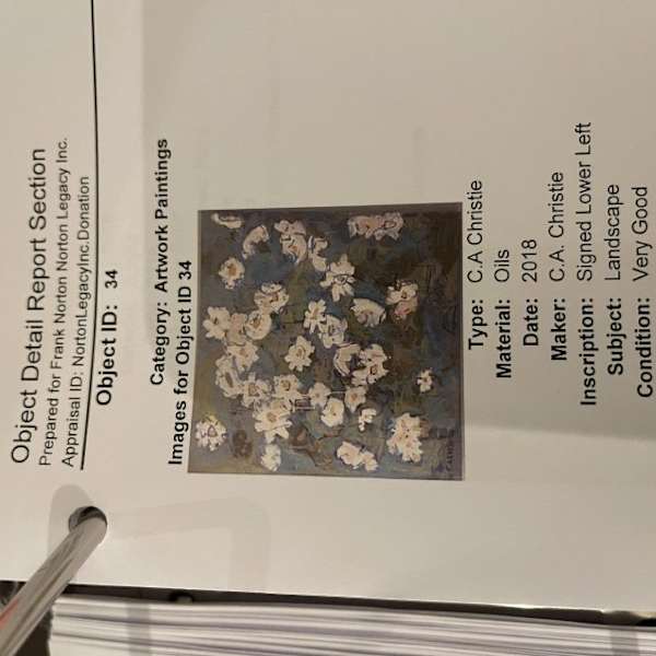 Untitled- landscape ( flowers) by C.A. Christie, Image 1.