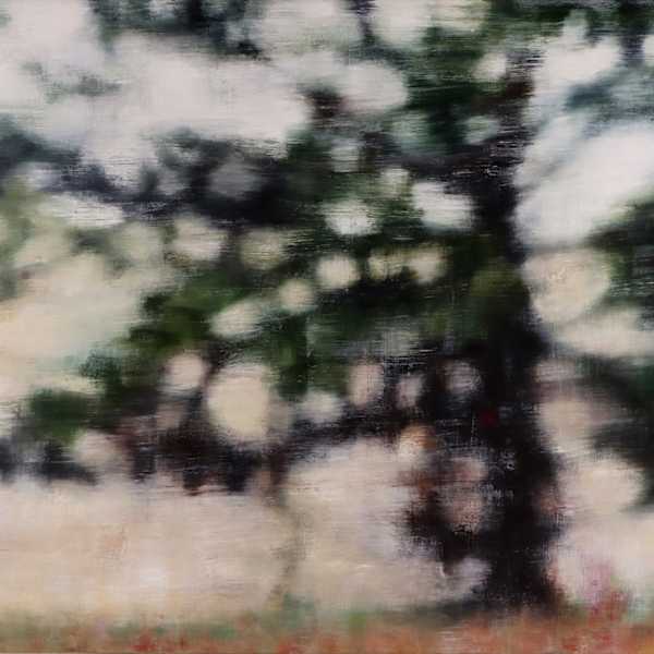 Conifer - Essington by Joanna Logue, Image 1.
